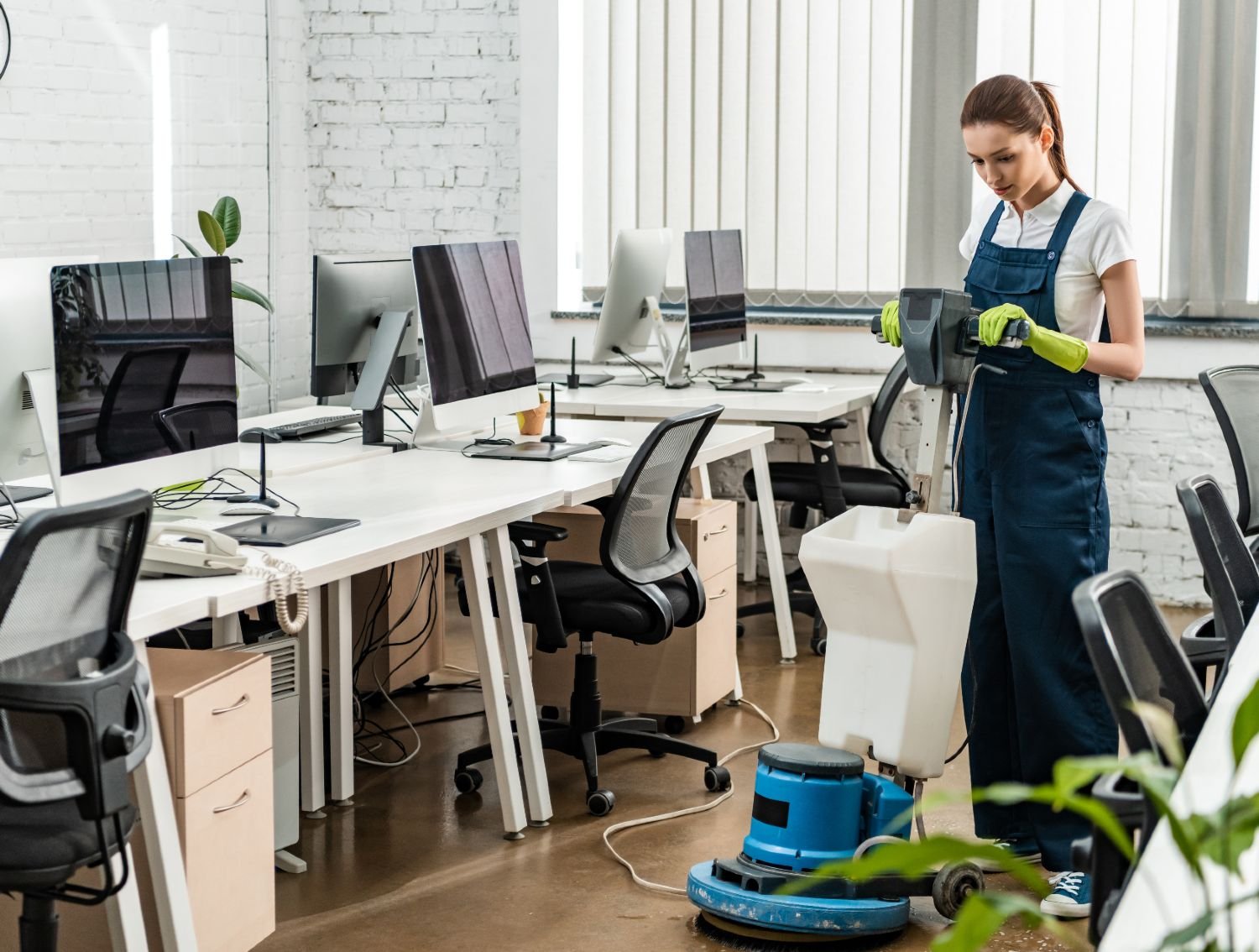 Professional cleaning service